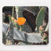 Orange Blume im Kaktus im Balboa Park Mousepad (Vorne)