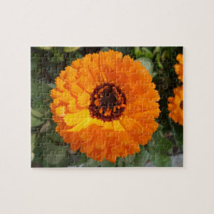Orange Blume Jigsaw Puzzle