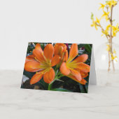 Orange Blume Karte (Gelbe Blume)