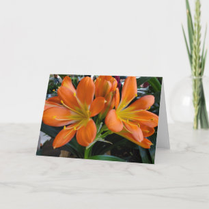 Orange Blume Karte