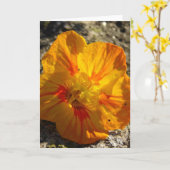 Orange Blume Karte (Gelbe Blume)