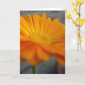orange Blume Karte (Gelbe Blume)