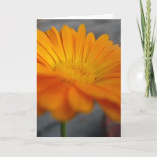 orange Blume Karte