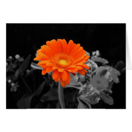 Orange Blume Karte-Irgendeine Gelegenheit