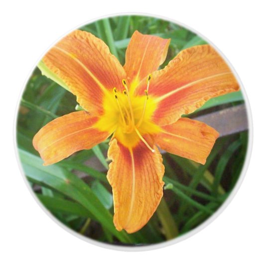 Orange Blume Keramikknauf (Vorderseite)