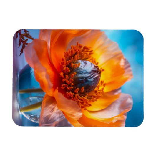Orange Blume Magnet (Horizontal)