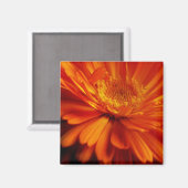 Orange Blume Magnet (Vorderseite/Rückseite)