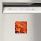 Orange Blume Magnet (In Situ (Geschirrspüler))