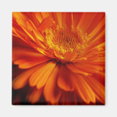 Orange Blume Magnet (Vorne)