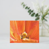Orange-Blume-Makro Postkarte (Stehend Vorderseite)