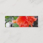 Orange Blume Mini Visitenkarte (Rückseite)