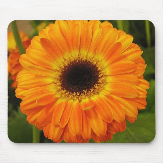 Orange Blume Mouse Pad Mousepad (Vorne)