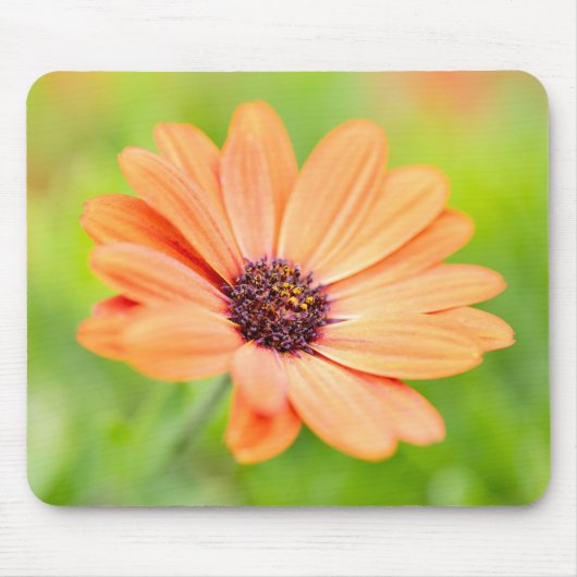 Orange Blume Mousepad (Vorne)