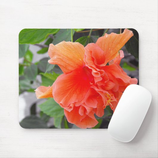 Orange Blume Mousepad (Mit Mouse)