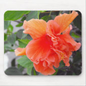 Orange Blume Mousepad (Vorne)
