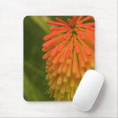 Orange Blume Mousepad (Mit Mouse)