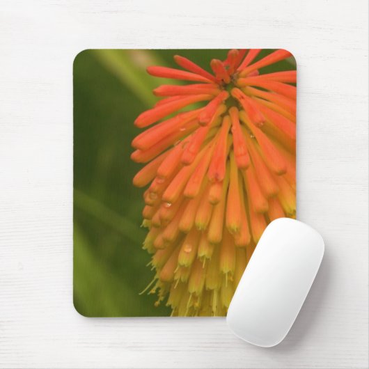 Orange Blume Mousepad (Mit Mouse)