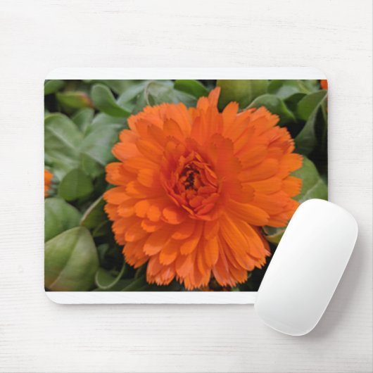 Orange Blume Mousepad (Mit Mouse)