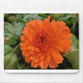 Orange Blume Mousepad (Vorne)