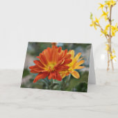 Orange Blume Notecard Karte (Gelbe Blume)