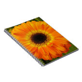 Orange-Blume Notizblock (Rechte Seite)