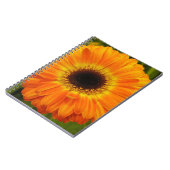 Orange-Blume Notizblock (Linke Seite)