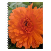 Orange Blume Notizblock (Vorderseite)