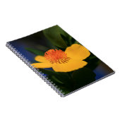 Orange Blume Notizblock (Rechte Seite)