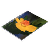 Orange Blume Notizblock (Linke Seite)