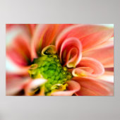 Orange Blume Poster (Vorne)