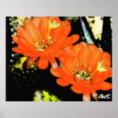 ORANGE-BLUME POSTER (Vorne)