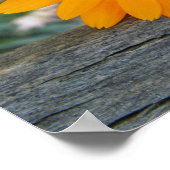 Orange Blume Poster (Ecke)