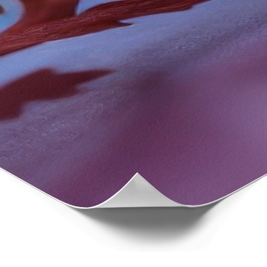 Orange Blume Poster (Ecke)