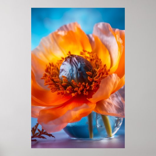Orange Blume Poster (Vorne)