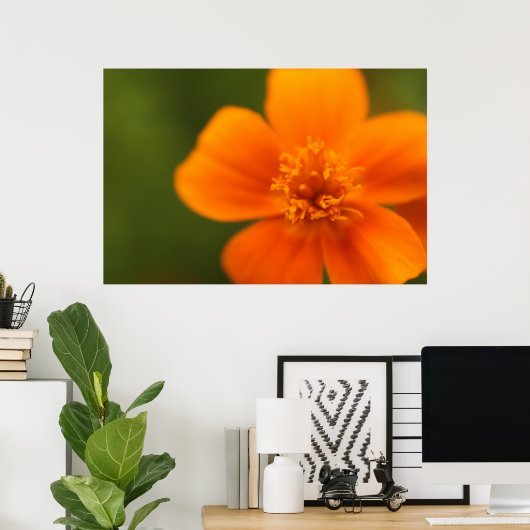 Orange Blume Poster (Heimbüro)