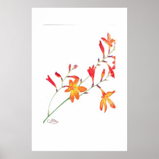 Orange Blume Poster