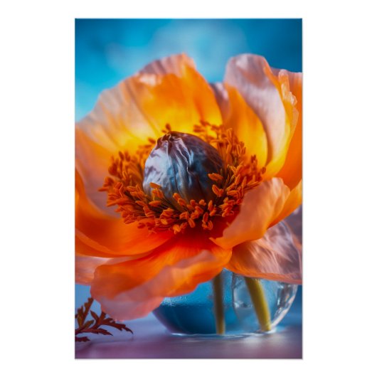 Orange Blume Poster (Vorderseite)
