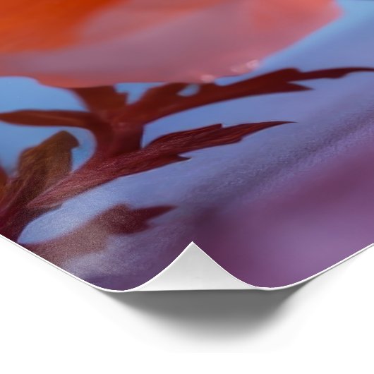 Orange Blume Poster (Ecke)