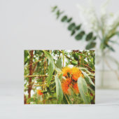 Orange Blume Postkarte (Stehend Vorderseite)