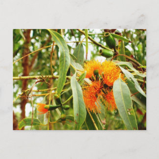 Orange Blume Postkarte