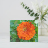 Orange Blume Postkarte (Stehend Vorderseite)