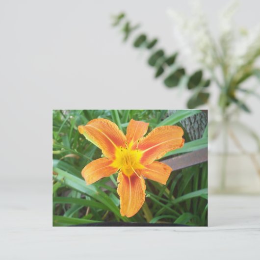 Orange Blume Postkarte (Stehend Vorderseite)