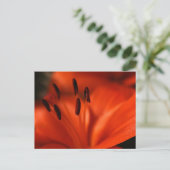 Orange Blume Postkarte (Stehend Vorderseite)