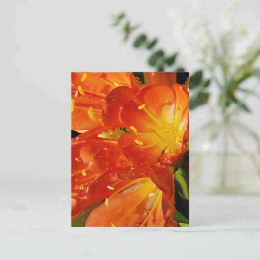 Orange Blume Postkarte (Stehend Vorderseite)