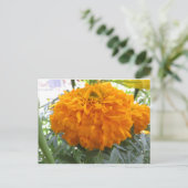Orange Blume Postkarte (Stehend Vorderseite)