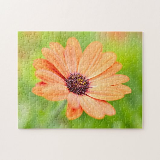 Orange Blume Puzzle (Horizontal)
