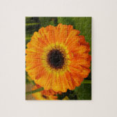 Orange Blume Puzzle (Vertikal)