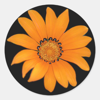 Orange-Blume Runder Aufkleber