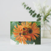 Orange Blume Trio Postkarte (Stehend Vorderseite)
