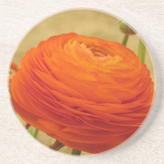 Orange Blume Untersetzer (Vorne)